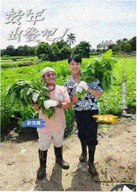 极速音符